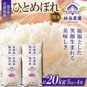ふるさと納税 若狭町 【令和8年産先行受付】福井県若狭町 ひとめぼれ(1等米)　20kg(5kg×4袋)