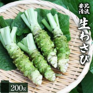 ふるさと納税 八幡平市 生わさび 200g 【安比清流山葵園】　AE-001-D