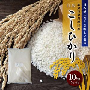 ふるさと納税 加東市 訳あり 無地袋梱包 《令和7年産》日本酒に合うコシヒカリ　白米10kg(5kg×2)