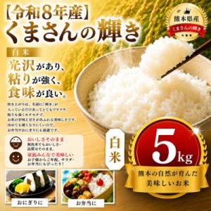 ふるさと納税 玉名市 【令和8年産】熊本県産 くまさんの輝き 白米 5kg