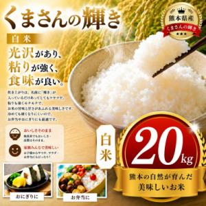 ふるさと納税 玉名市 【令和8年産】熊本県産 くまさんの輝き 白米 20kg