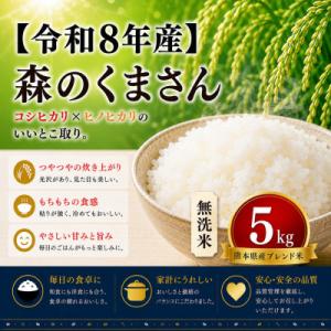 ふるさと納税 玉名市 【令和8年産】熊本県産 森のくまさん 無洗米 5kg