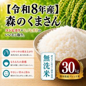 ふるさと納税 玉名市 【令和8年産】熊本県産 森のくまさん 無洗米 30kg