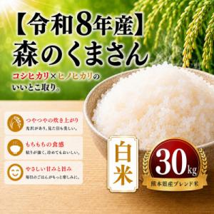 ふるさと納税 玉名市 【令和8年産】熊本県産 森のくまさん　白米　30kg