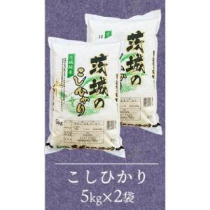 ふるさと納税 五霞町 【令和8年産】コシヒカリ 精米 10kg(5kg×2袋)茨城のおいしいお米