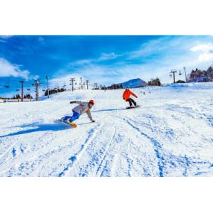 ふるさと納税 上越市 キューピットバレイ2026-2027シーズンリフト1日券引換券 1枚