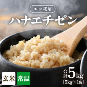 ふるさと納税 あわら市 【令和8年産】 【一等米】エコ栽培ハナエチゼン　玄米5kg
