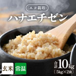 ふるさと納税 あわら市 【令和8年産】 【一等米】エコ栽培ハナエチゼン 玄米10kg (5kg×2袋)