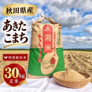 ふるさと納税 大潟村 特別栽培米 あきたこまち 玄米 30kg
