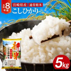 ふるさと納税 宮崎市 《令和8年産》宮崎県産こしひかり 合計5kg (5kg×1袋)