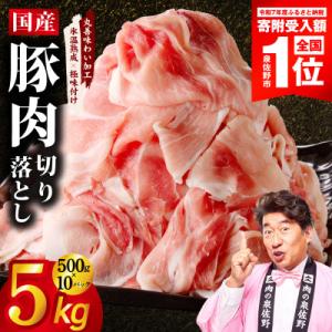 ふるさと納税 泉佐野市 【期間限定】国産 豚肉 切り落とし 5kg【氷温熟成×極味付け】 mrz05...