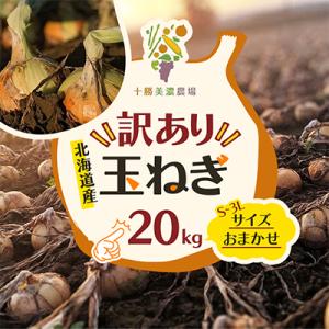 ふるさと納税 池田町 先行予約【訳あり】北海道産 玉ねぎ 20kg サイズおまかせ S〜3L 十勝池田町 十勝美濃農場
