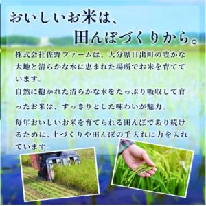 ふるさと納税 日出町 【令和8年産】にじのきら...の詳細画像3