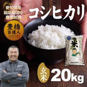 ふるさと納税 豊橋市 【栽培期間中農薬削減】令和7年産 コシヒカリ玄米20kg 愛知県 豊橋市 産地直送