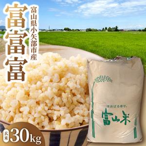 ふるさと納税 小矢部市 令和8年産 富山県産 「富富富」 玄米 30kg