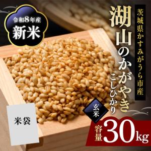 ふるさと納税 かすみがうら市 令和8年 新米 コシヒカリ 玄米30kg 湖山のかがやき | こしひかり お米 茨城県かすみがうら市