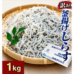 ふるさと納税 南知多町 釜揚げしらす 1kg 1箱 訳あり #通年#