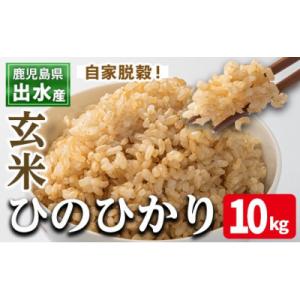 ふるさと納税 出水市 出水産ひのひかり玄米(10kg×1袋)_I503-v02