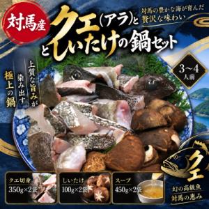 ふるさと納税 対馬市 クエ(アラ)としいたけの鍋セット(3〜4人前)