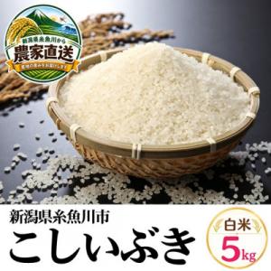 ふるさと納税 糸魚川市 【令和8年産】こしいぶき　5kg　白米　新潟県糸魚川市能生谷産