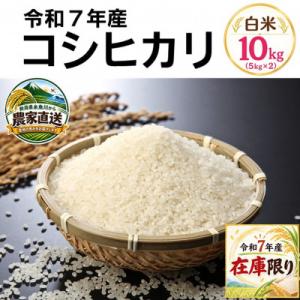 ふるさと納税 糸魚川市 【令和7年産】コシヒカリ10kg(5kg×2袋)白米　新潟県糸魚川市能生谷産　在庫整理