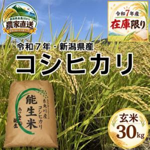 ふるさと納税 糸魚川市 【令和7年産】コシヒカリ　玄米30kg　新潟県糸魚川市能生谷産　在庫整理