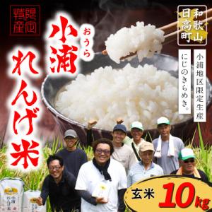 ふるさと納税 日高町 【令和8年産 新米】小浦れんげ米(にじのきらめき) 玄米 10kg