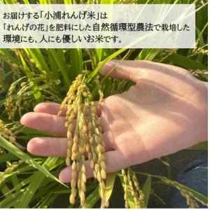ふるさと納税 日高町 2026年産(令和8年産...の詳細画像2