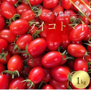 ふるさと納税 玉名市 サザキ農園のアイコ1kg