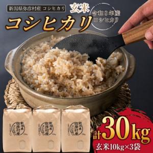 ふるさと納税 弥彦村 【令和8年産 新米受付】新潟県弥彦村石井農園　コシヒカリ【玄米 30kg(10kg×3袋)】