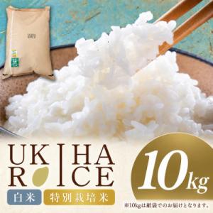 ふるさと納税 うきは市 【令和8年産】UKIHA RICE 白米 10kg(特別栽培米)