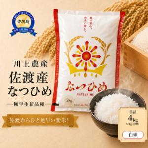 ふるさと納税 佐渡市 【令和8年産】佐渡産 なつひめ 4kg(2kg×2袋)精米　川上農産のお米
