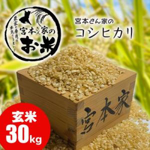 ふるさと納税 稲敷市 【令和8年産】茨城県稲敷市産コシヒカリ 玄米30kg