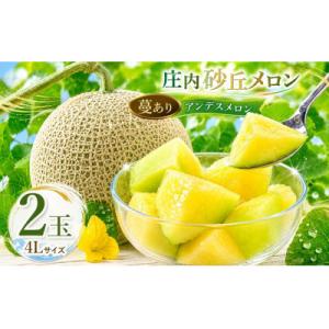 ふるさと納税 鶴岡市 【令和9年産】菅原農園の庄内砂丘アンデスメロン(4L・2玉)【7月下旬〜8月上...