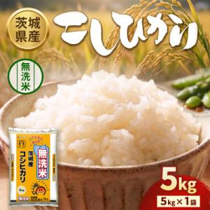 ふるさと納税 守谷市 【令和8年産】茨城コシヒカリ 5kg【精米・無洗米】美味しい米・精米したてのお米!旨味詰まる極上の米