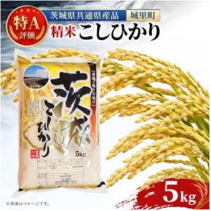 ふるさと納税 高萩市 【令和8年産】コシヒカリ 精米 5kg