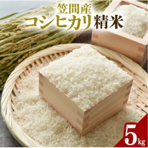 ふるさと納税 笠間市 令和8年産 笠間産 コシヒカリ 5kg　精米