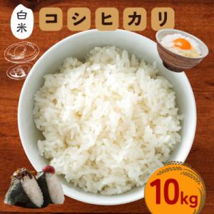 ふるさと納税 笠間市 令和8年産 笠間産 コシヒカリ 10kg　精米