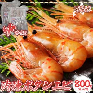 ふるさと納税 豊浦町 冷凍ボタンエビ 中サイズ 計800g(34〜40尾) 北海道 噴火湾産