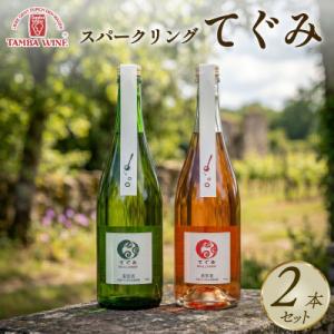 ふるさと納税 京都府 【丹波ワイン】スパークリングワイン(白・ロゼ) 飲み比べ 750ml×2本 贈...