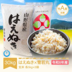 ふるさと納税 村山市 新米 令和8年産 はえぬき 雪若丸 玄米 計30kg (5kg×6袋)