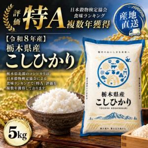 ふるさと納税 真岡市 【令和8年産】栃木の豊かな自然で育んだふっくらあま〜いこしひかり 約5kg(精米)　