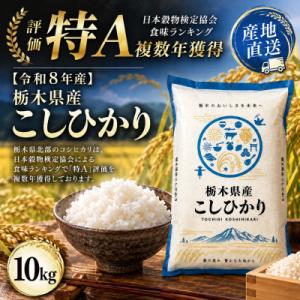 ふるさと納税 真岡市 【令和8年産】栃木の豊かな自然で育んだふっくらあま〜いこしひかり 約10kg(精米)　