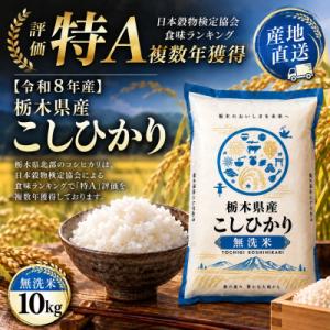 ふるさと納税 真岡市 【令和8年産】毎日いそがしいあなたへ　栃木県産こしひかり 無洗米10kg