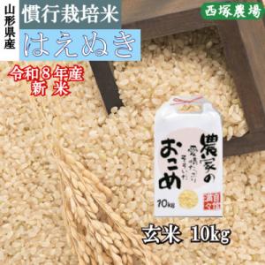 ふるさと納税 最上町 新米　令和8年産 慣行栽培米 はえぬき　玄米 10kg　山形県産　西塚農場