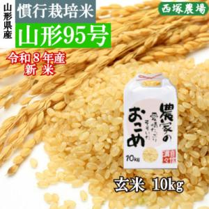 ふるさと納税 最上町 新米　令和8年産 慣行栽培米 山形95号　玄米 10kg　山形県産　西塚農場