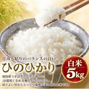 ふるさと納税 うきは市 【先行予約】令和8年産 福岡県うきは市産 ひのひかり 白米 5kg