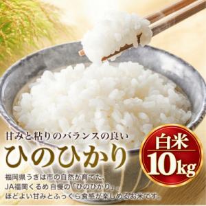 ふるさと納税 うきは市 【先行予約】令和8年産 福岡県うきは市産 ひのひかり 白米 10kg