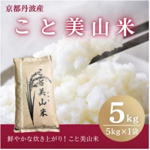ふるさと納税 南丹市 【訳あり】 令和7年産 こと美山米 5kg 精米 コシヒカリ にじのきらめき