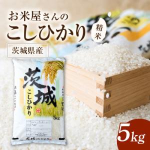 ふるさと納税 かすみがうら市 令和8年産 新米 お米屋さんのコシヒカリ 精米 5kg(1袋)